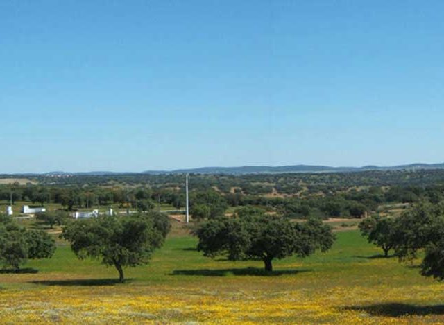 Camping Alentejo