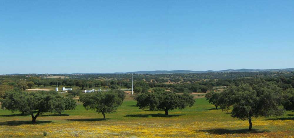 Camping Alentejo