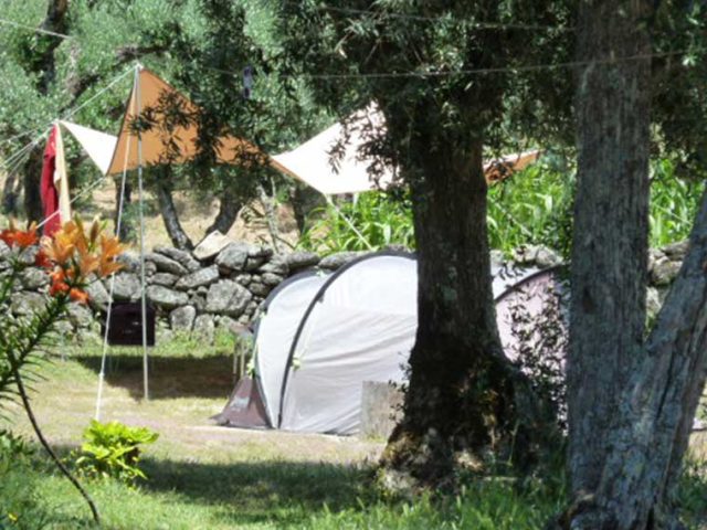 Camping Asseiceira