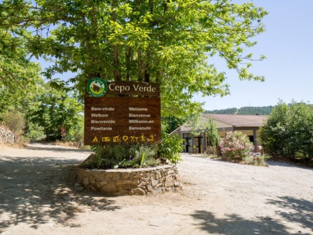 Cepo Verde