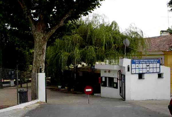 Elvas